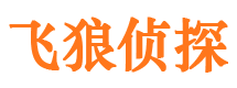 通榆市私人调查